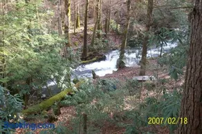 Garden of Eden Cabins - Image 3