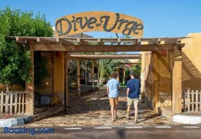Dive Urge - Image 4
