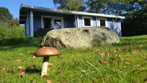 dieSeeSucht - Lodge am Fjord - Image 1