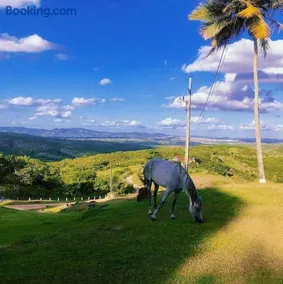 Chácara Vale das Pedras - Image 4