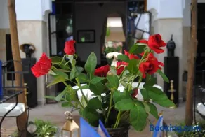 Riad dar Ourika & SPA - Image 3