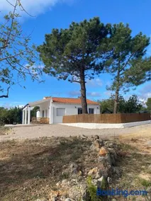 Casa the Dutchman - Image 3
