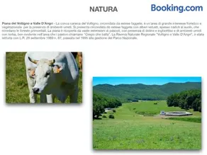 Clementina B&B - Image 3