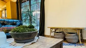 Creekside Cabin Red Rocks Concert Retreat - Image 4