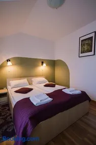 Vila Rigo Sovata - Image 2