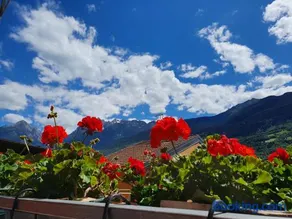 B&B Il Pettirosso - Image 1