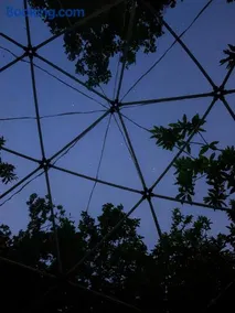 Tipi Nature a l'Ombre des Tilleuls à Vialas en Cévennes - Animaux ferme - Image 3