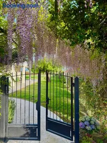 Si Sofia country house - Image 1