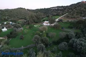 Annas Katikia - Image 2