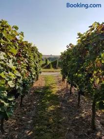 Weingut & Gästehaus Nagel - Image 1