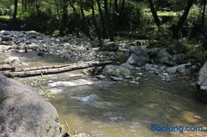 NotOnMap- Saal River Homestay - Image 2