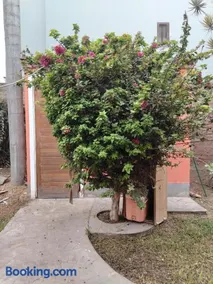 Casa La Alameda Pachacamac - Image 1