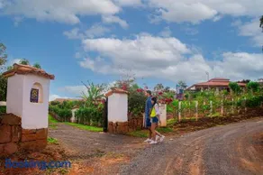 Timbarra Cottage - Image 5