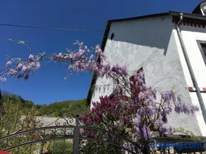 Alter Winzerhof - Image 2