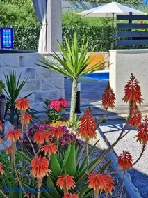 Casa Bella with Private Pool - Image 3
