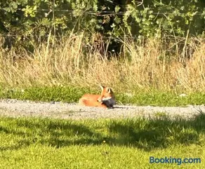 Animal Farm and Forest - Image 2