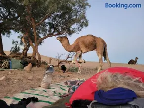 Authentic Sahara with Locals - Image 2