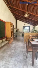 MIRANTE DA MOEDA - Image 4