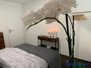 Central & Elegant Room in Biel - Image 3