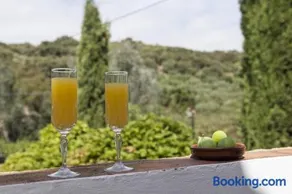 Cortijo La Algallumbilla - Image 5