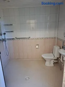 Keltasirkku - Image 2