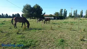 Les prairies Mas Roux - Image 2