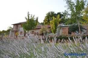 Villa Mara - secluded house with breathtaking view- Seline, Starigrad Paklenica - Image 2