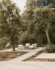 The Nerolia - Image 4