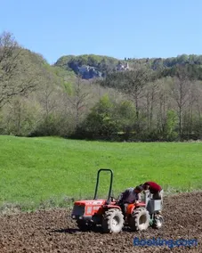 Agriturismo Vezzano - Image 2