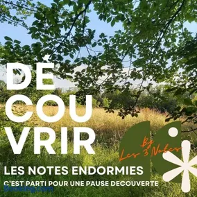 Maison d'hôtes Les Notes Endormies adultes only - Image 3