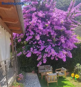 La Bouganville e Il Gelsomino - Image 1