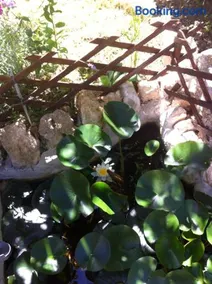 A casa di mamma - Image 4