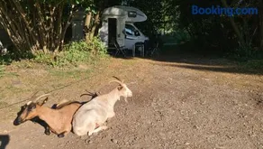 Camping: bring your tent or van - Image 2