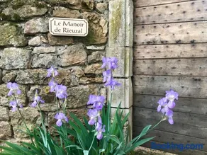 Manoir de Rieuzal - Image 3