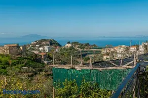 Il Viale - Image 2