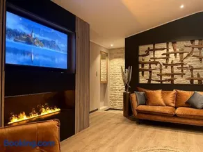 Loft TinPanAlley avec SPA - Marais Poitevin entre Niort et La Rochelle - Image 2