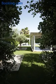 Homi - Image 1