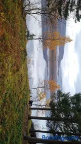 Cozy cabin close to nature - Image 2