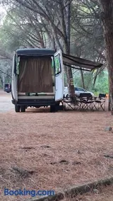 Fandvan - Image 1