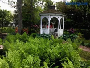 Peaceful 3BR Garden Cottage - Long Island Escape - Image 3