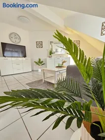 schöne DG Wohnung im Zentrum - Image 1