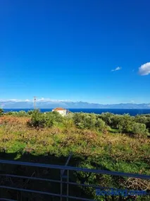 Vasilopoulos Estate - Image 5