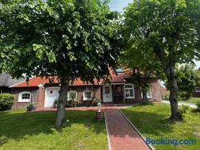Lindenhuus-Urlaub unter einem Teilreetdach-Terrasse - Nahe Norden-Norddeich - Image 3
