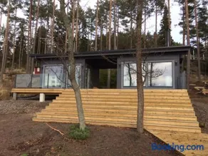 Pikkumerikotka - Image 1