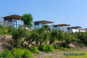 Summer Dream Cyprus - Image 5