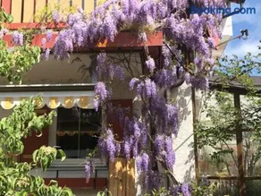 Appartamento con griglia e sauna | Vista sulla montagna | Perfetto per il lavoro da remoto - Image 2