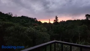 Ventana al bosque - Image 4