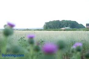 The Cattleyard - Image 4