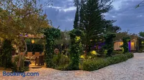 My Villa Abha - Image 3