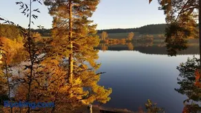 Ferienwohnung am Kirnbergsee - Image 1